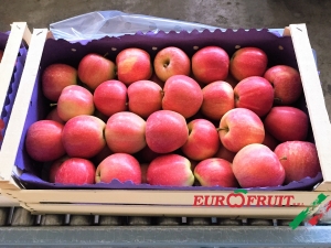 Gala apples in 9Kg wooden box for Libya